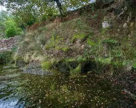 Quinta De Soutelo