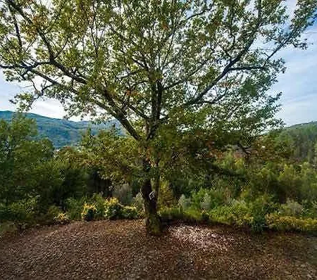 Quinta De Soutelo *